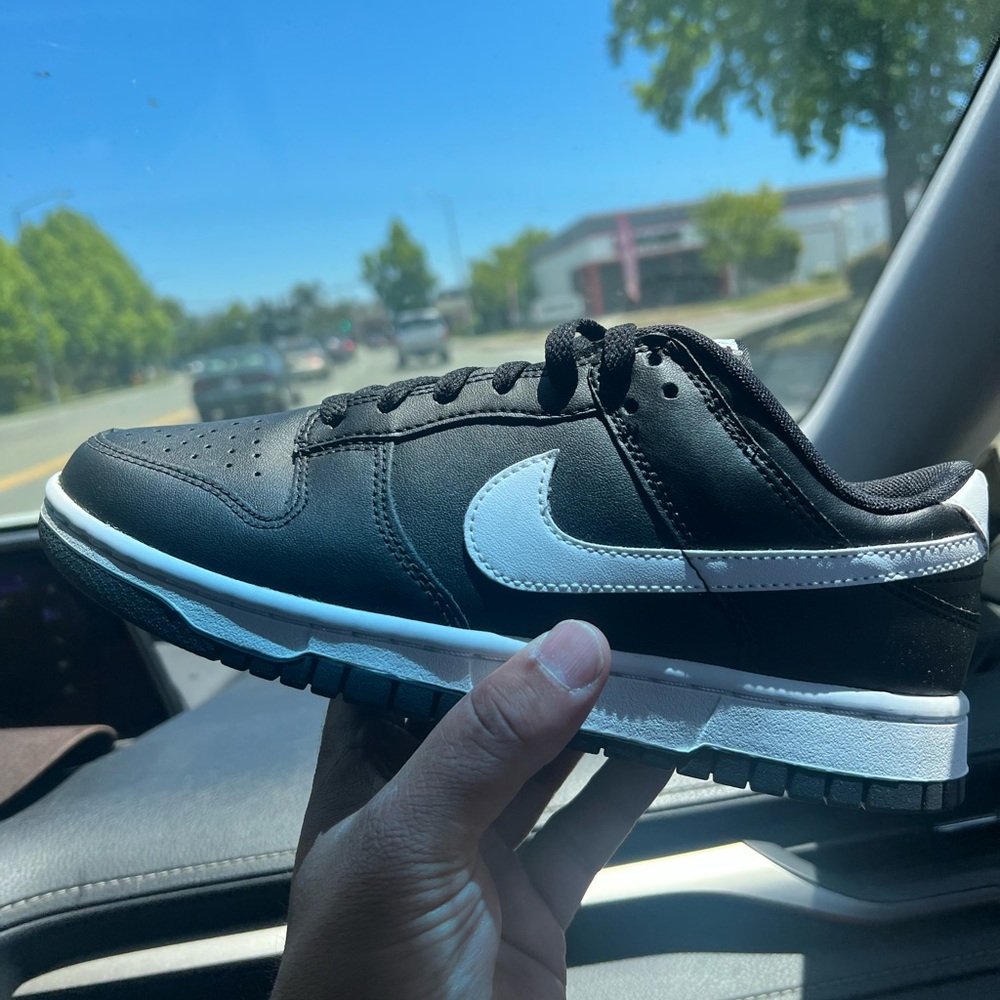 Dunk low Panda 2.0